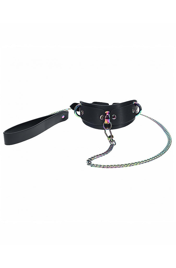 rainbow metal collar and leash