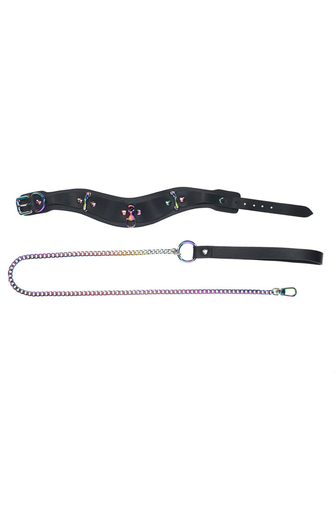 bdsm collar and leash