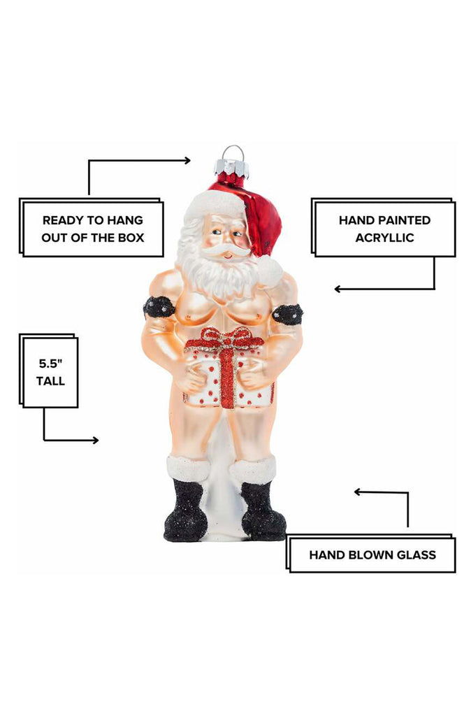 funny adult christmas Ornament