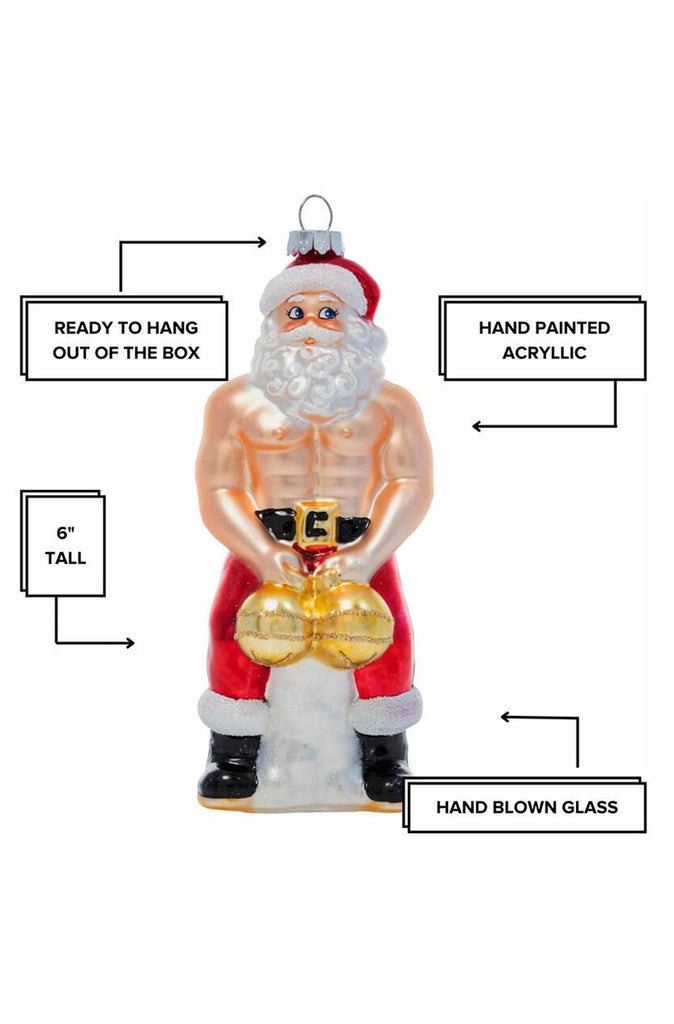 funny santa christmas ornament