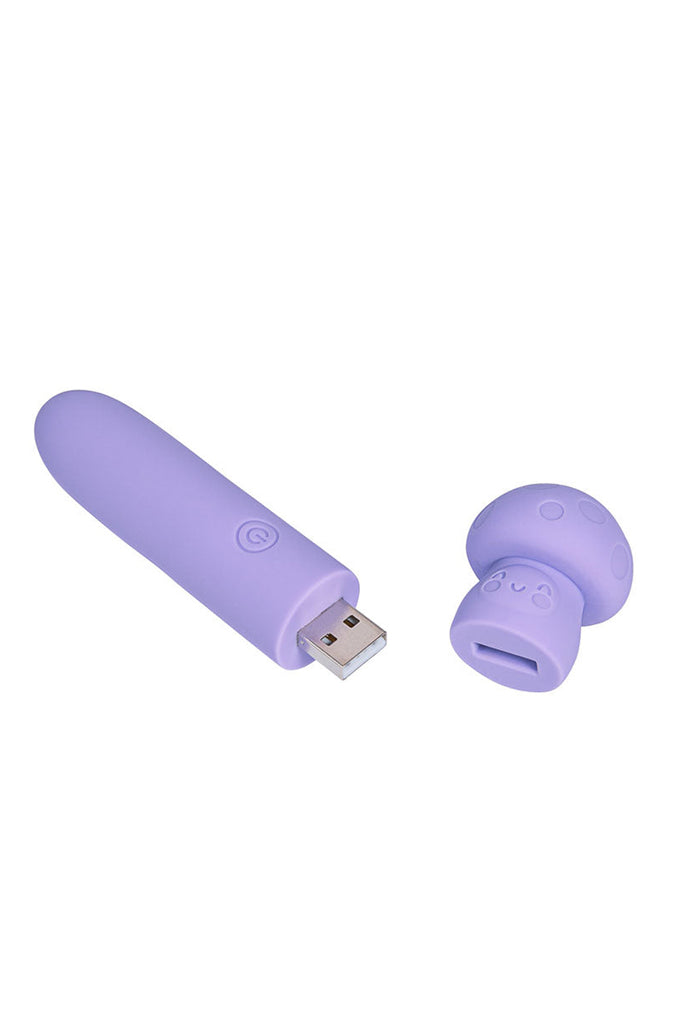 beginner vibrator